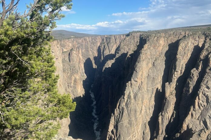 An elevated view of the Gunnison River carving its path through the cliffs of the Black Canyon of the Gunnison National Park.